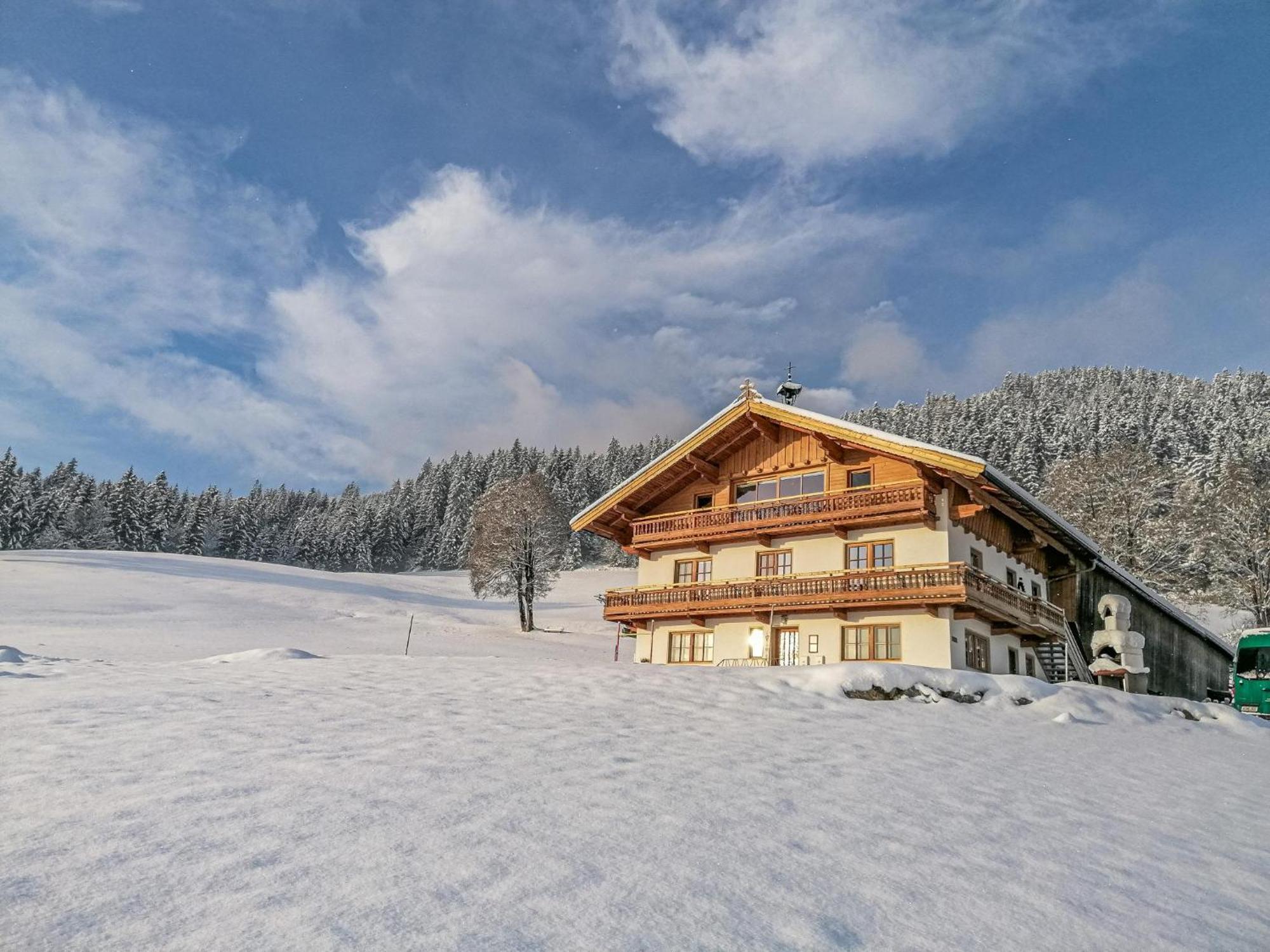 Flicklhof Xl Daire Hopfgarten im Brixental Dış mekan fotoğraf