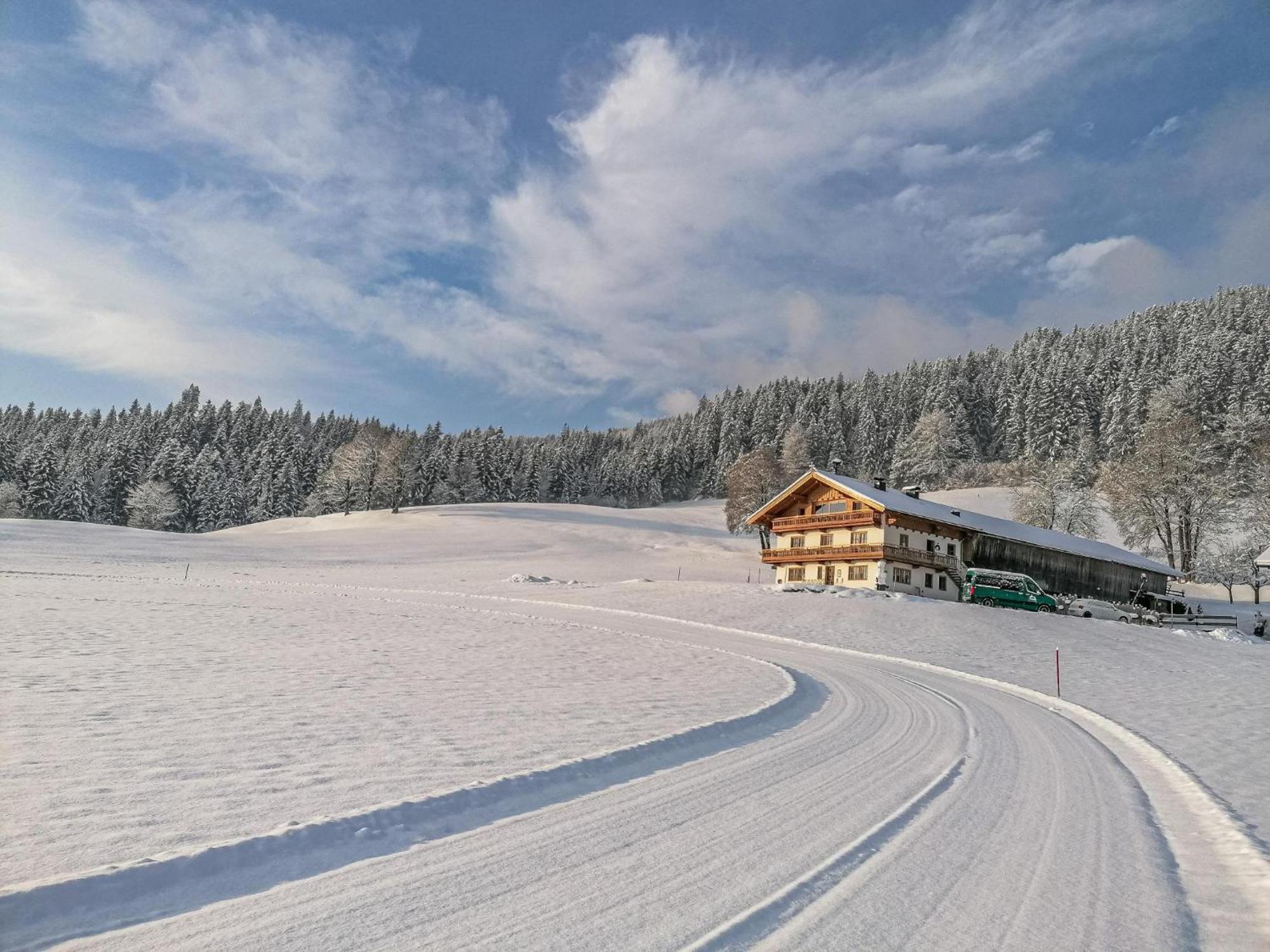 Flicklhof Xl Daire Hopfgarten im Brixental Dış mekan fotoğraf