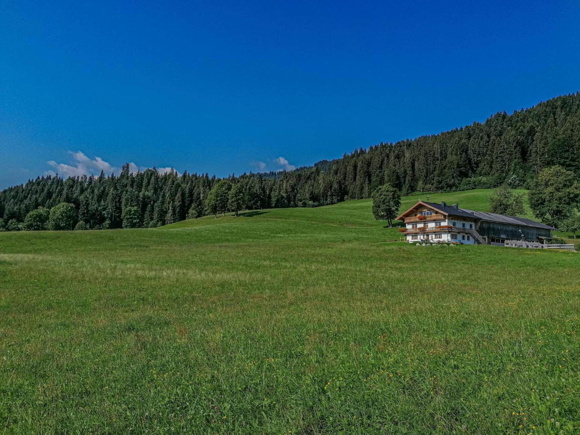 Flicklhof Xl Daire Hopfgarten im Brixental Dış mekan fotoğraf