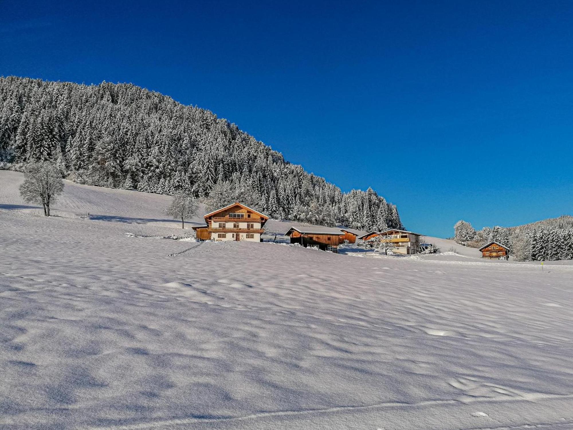 Flicklhof Xl Daire Hopfgarten im Brixental Dış mekan fotoğraf