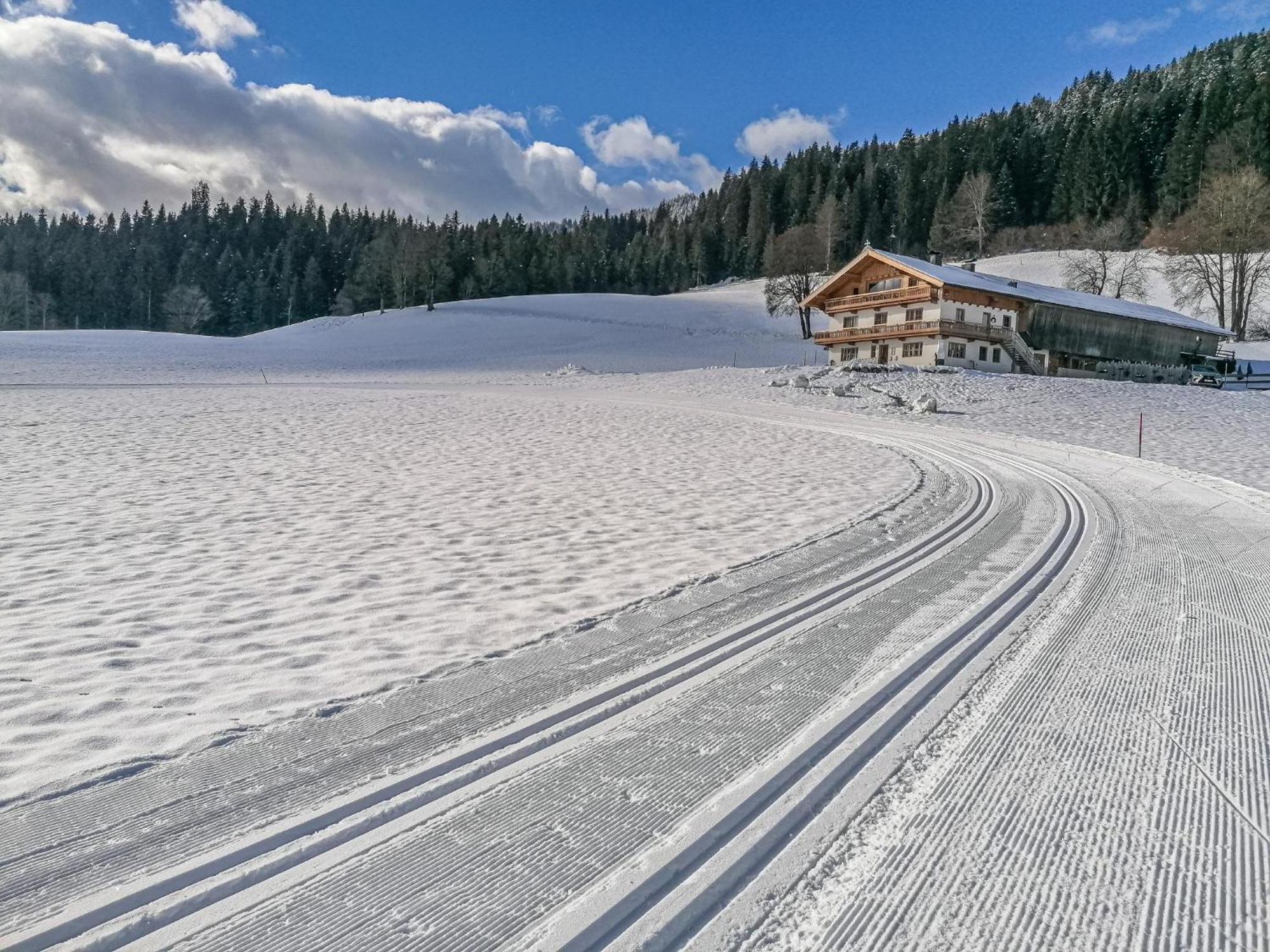 Flicklhof Xl Daire Hopfgarten im Brixental Dış mekan fotoğraf