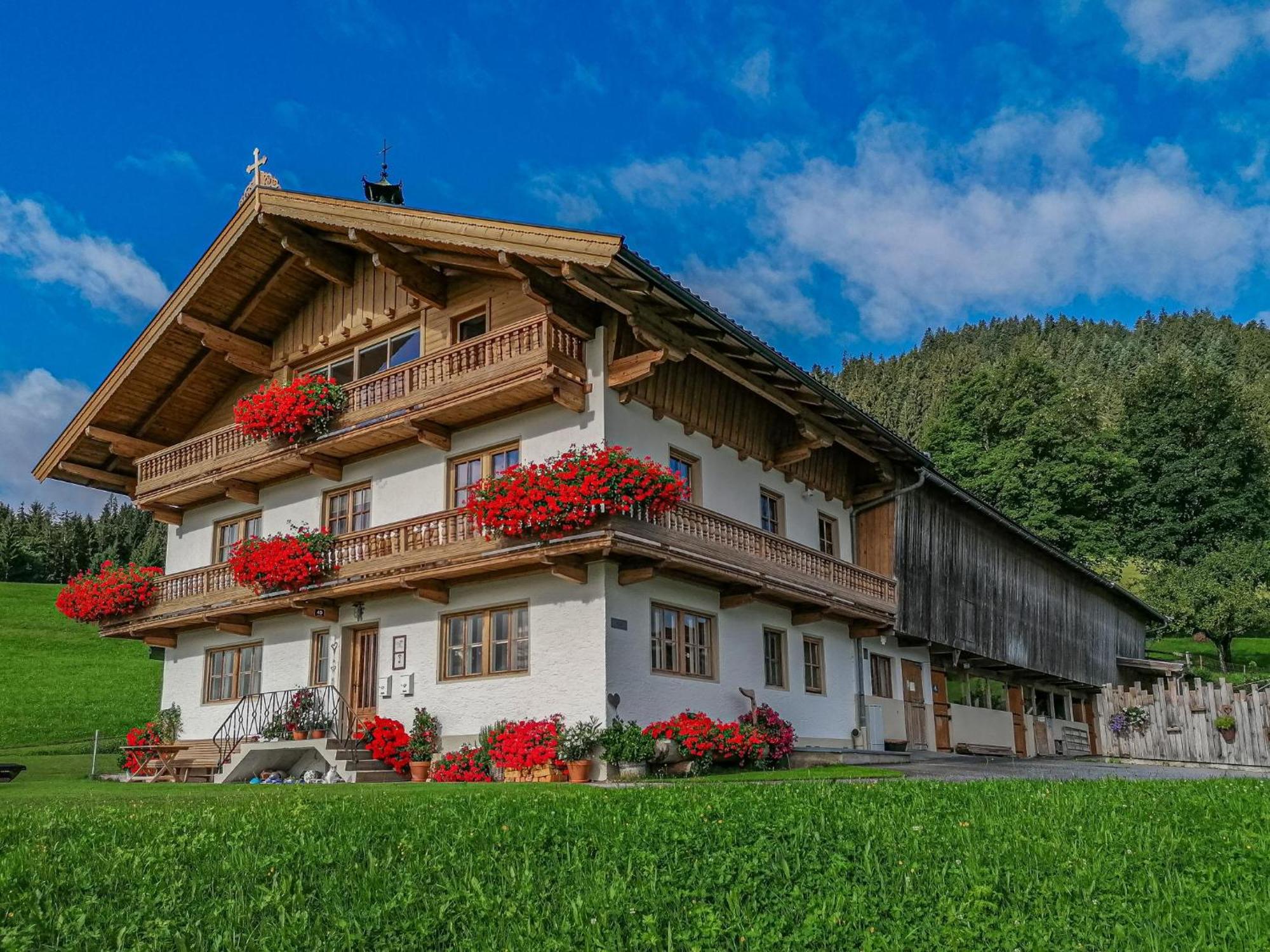 Flicklhof Xl Daire Hopfgarten im Brixental Dış mekan fotoğraf