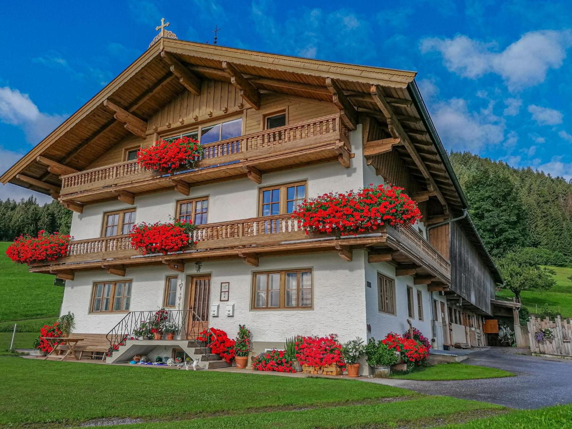 Flicklhof Xl Daire Hopfgarten im Brixental Dış mekan fotoğraf